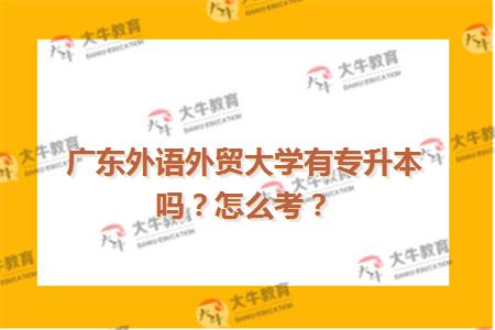 广东外语外贸大学有专升本吗？怎么考