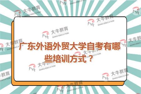 广东外语外贸大学自考有哪些培训方式？